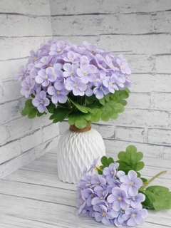 Lavanda