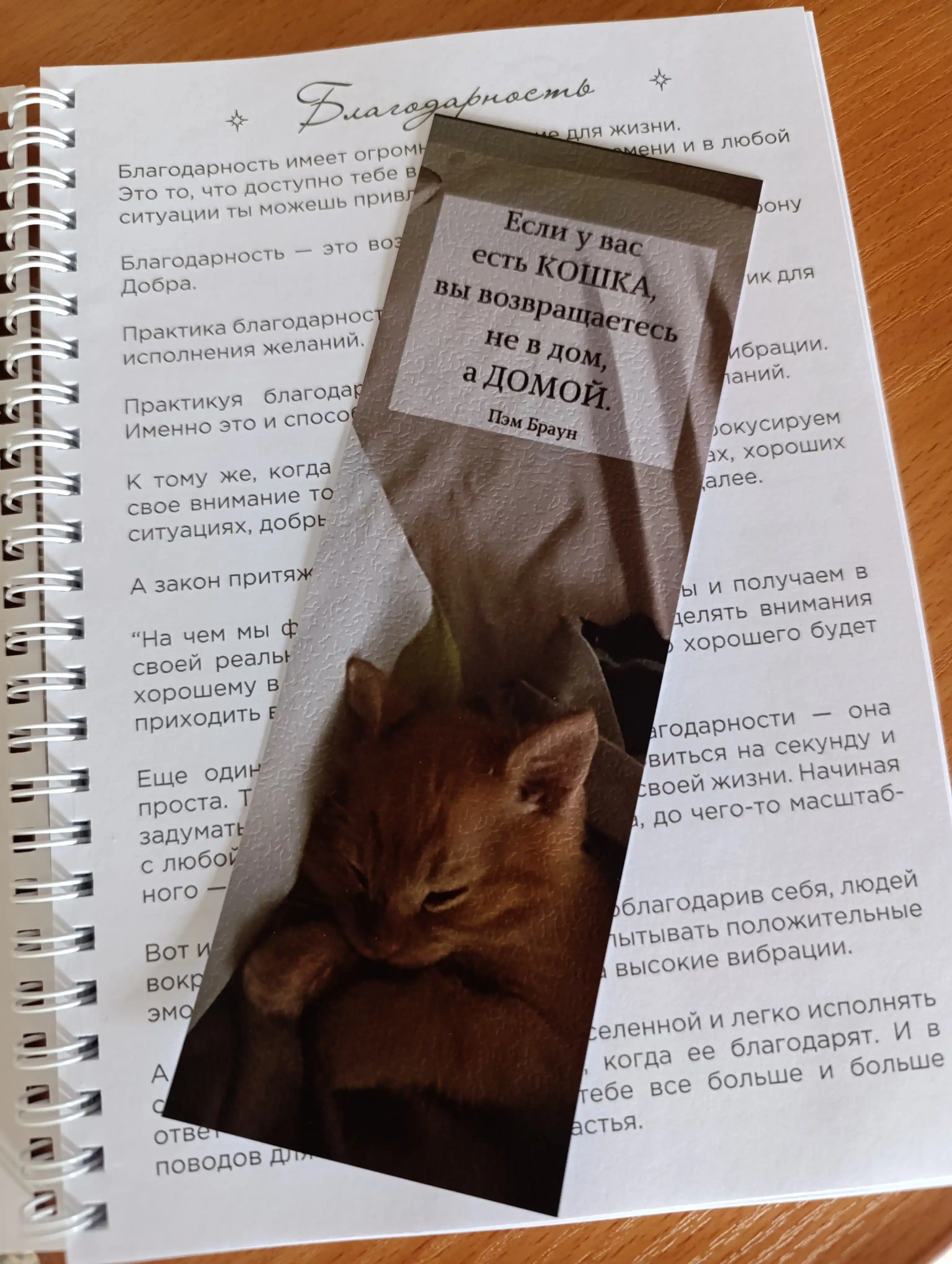 Бумажные закладки для книг, учебников, ежедневников "Мотивация"