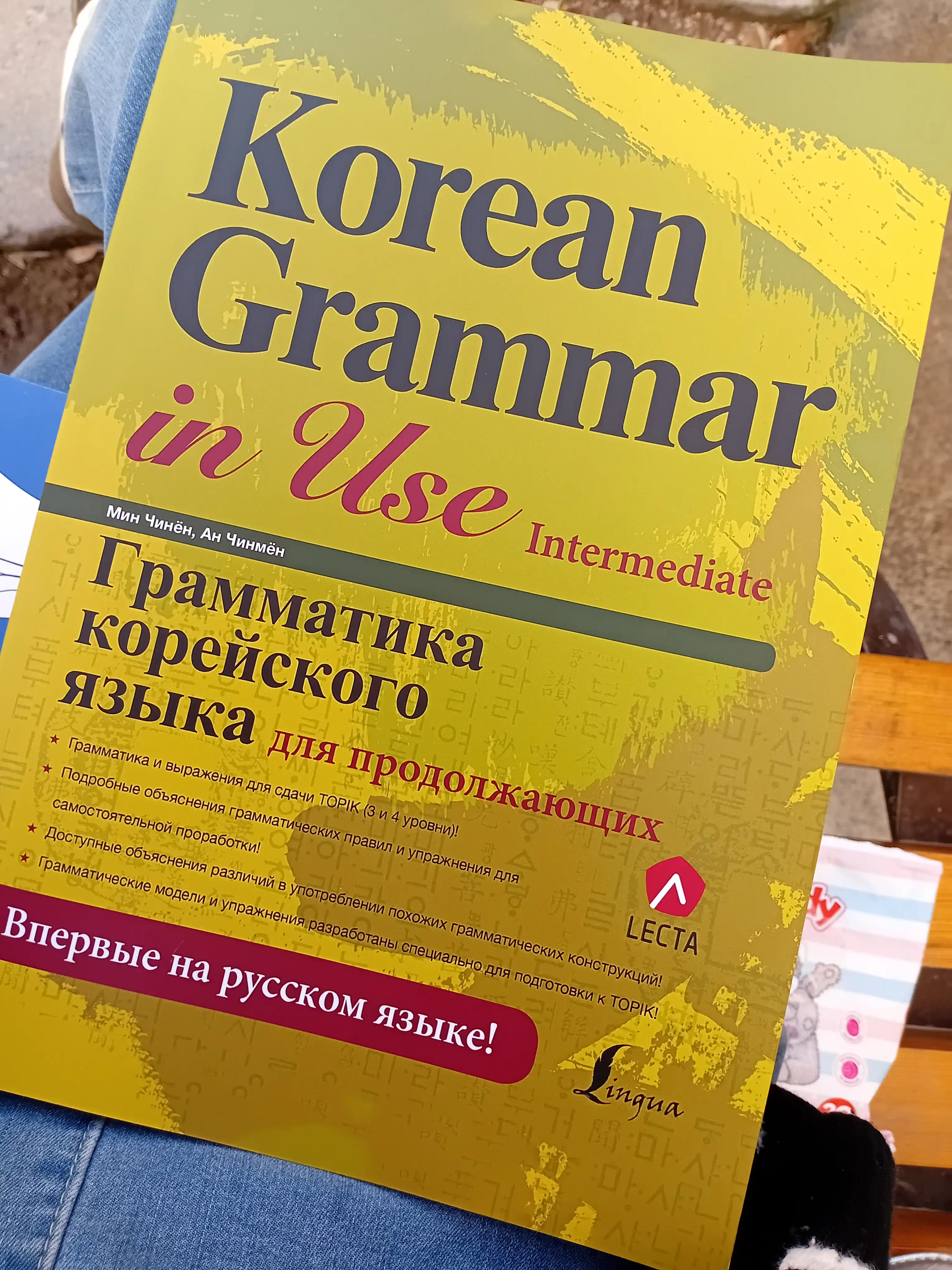 Korean Grammar in Use: Грамматика корейского языка. Beginning, Intermediate