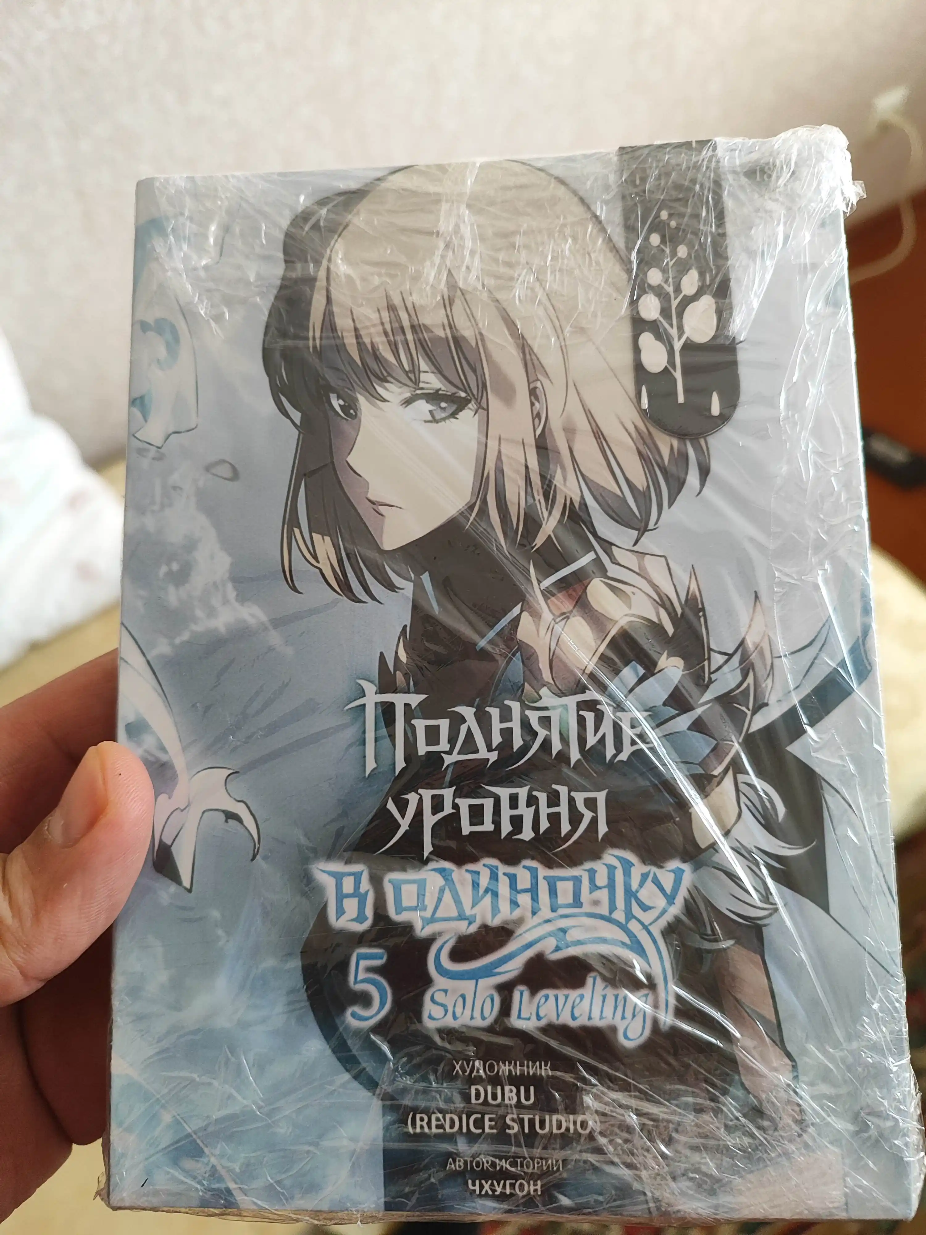 Поднятие уровня в одиночку, Solo Leveling, Книга 5, Чхугон
