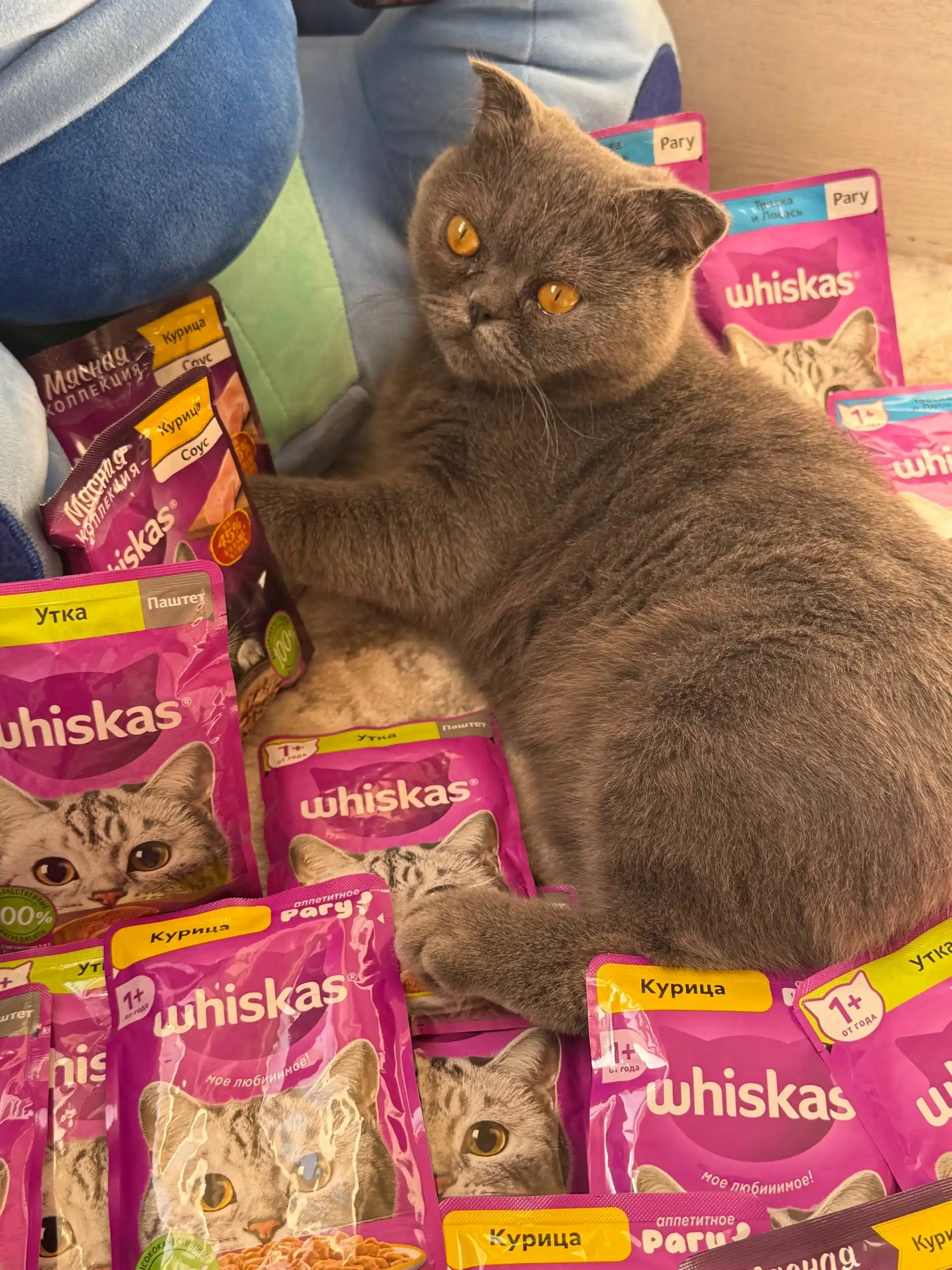 Whiskas паштет для кошек с курицей и индейкой, 75 г, 5 шт