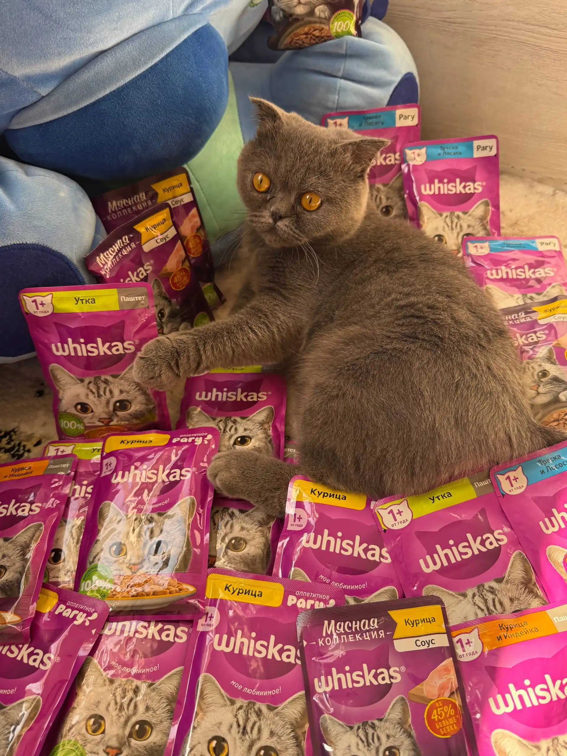 Whiskas паштет для кошек с курицей и индейкой, 75 г, 5 шт