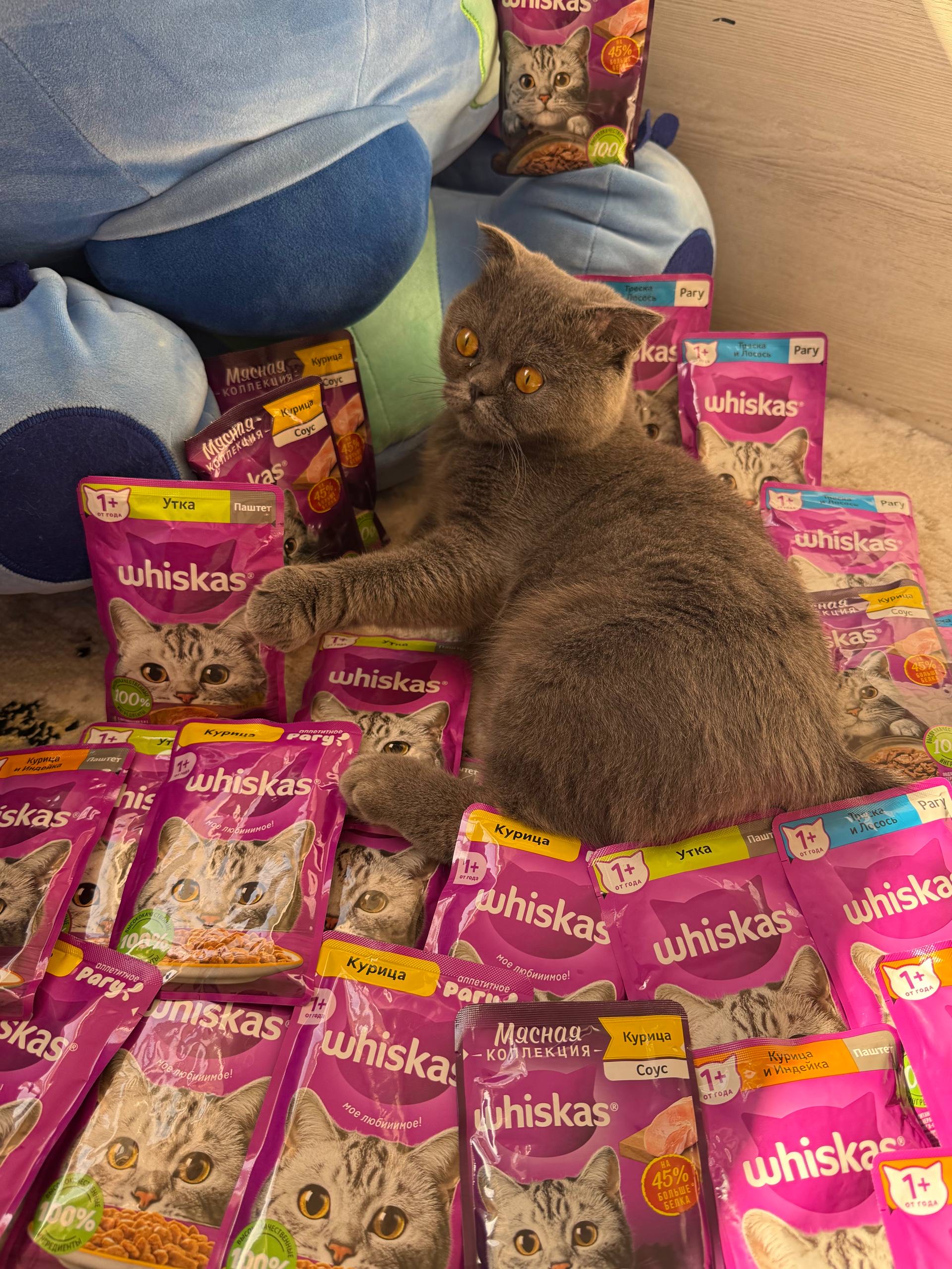 Whiskas паштет для кошек с курицей и индейкой, 75 г, 5 шт