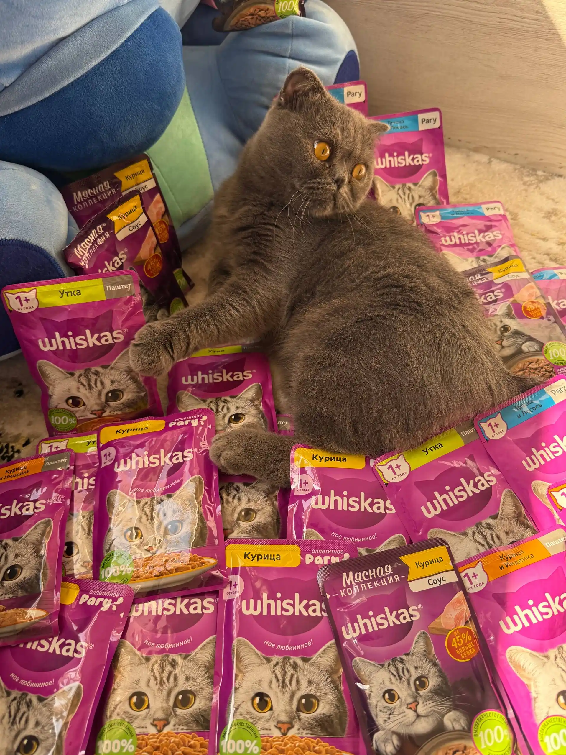 Whiskas паштет для кошек с курицей и индейкой, 75 г, 5 шт