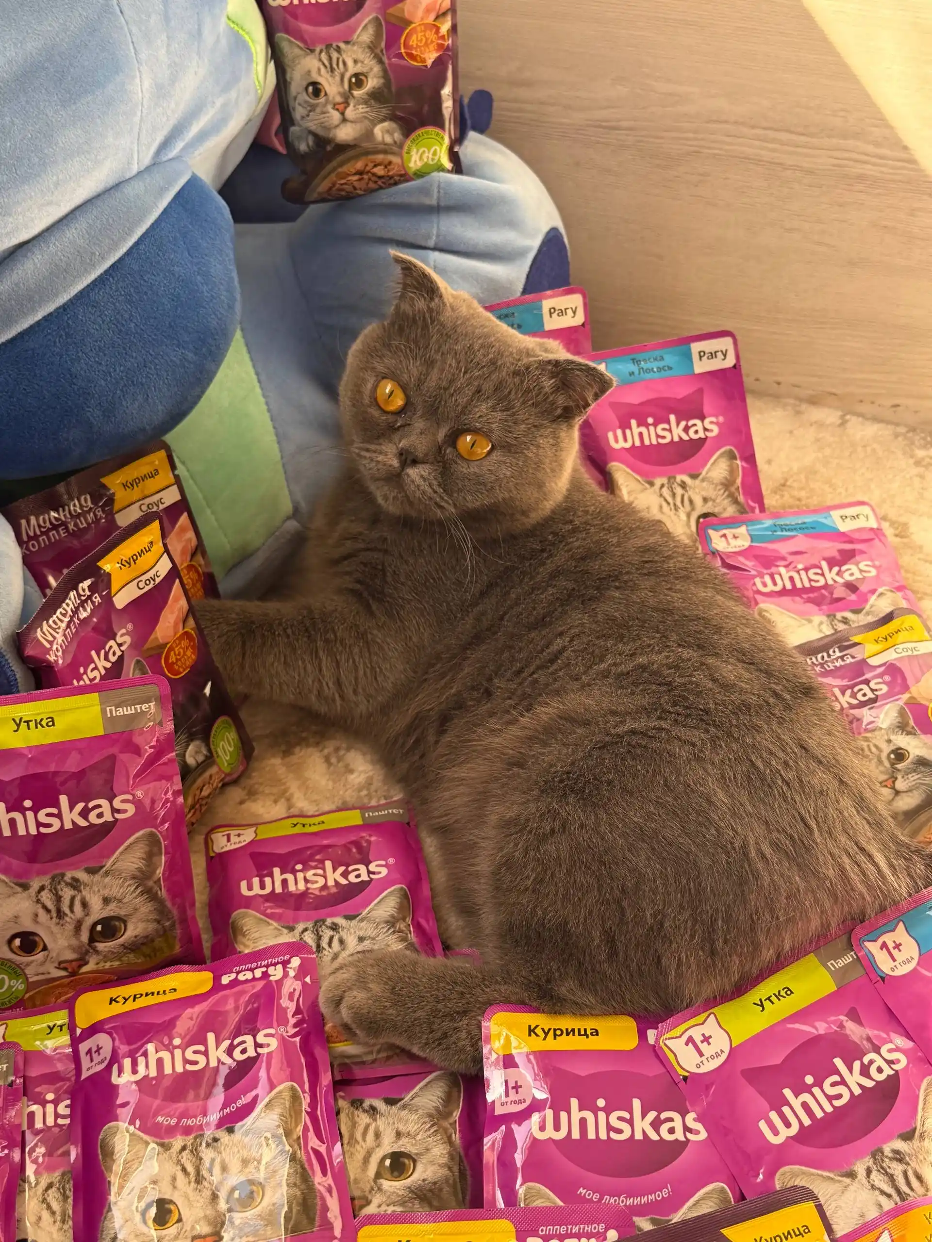 Whiskas паштет для кошек с курицей и индейкой, 75 г, 5 шт