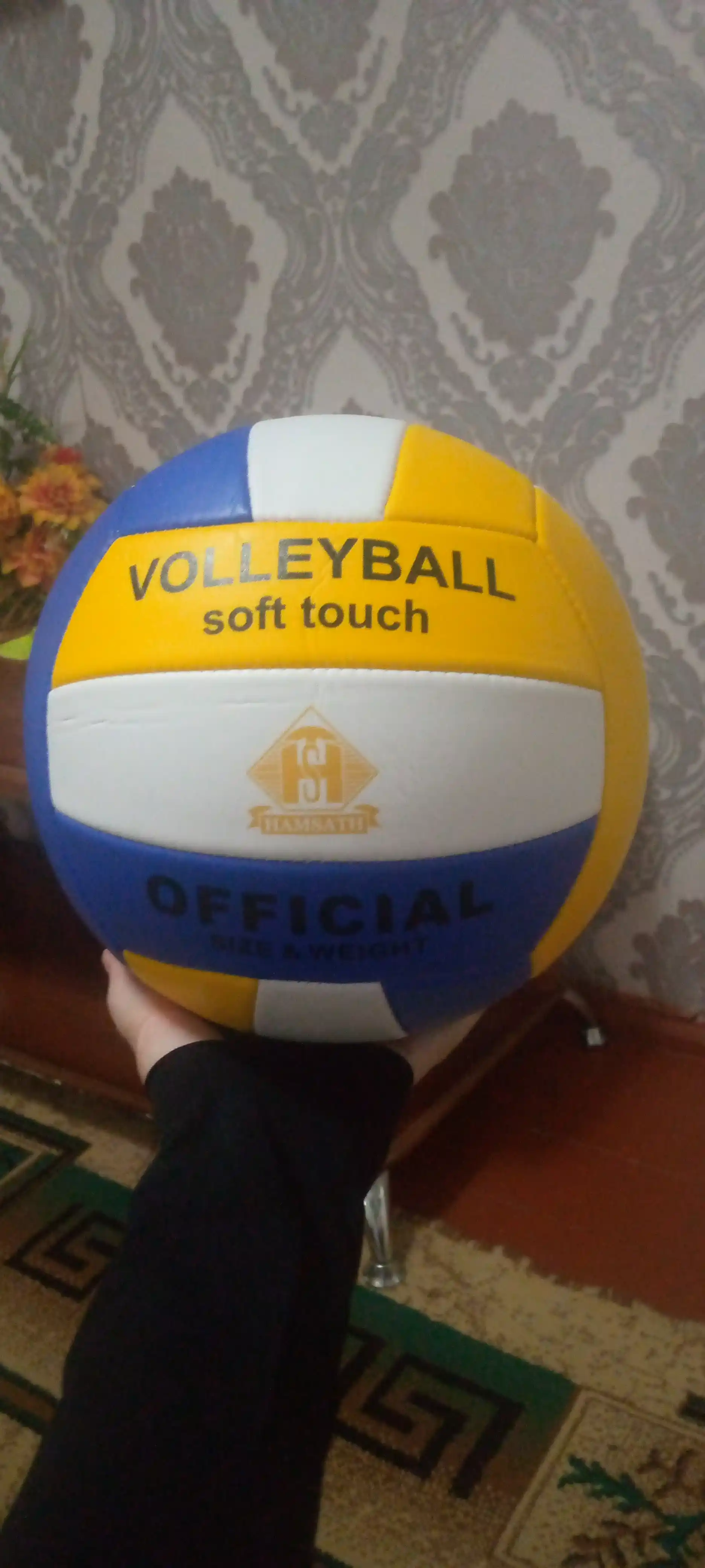Voleybol toʻpi, nasos va igna sovg'a, sport uchun
