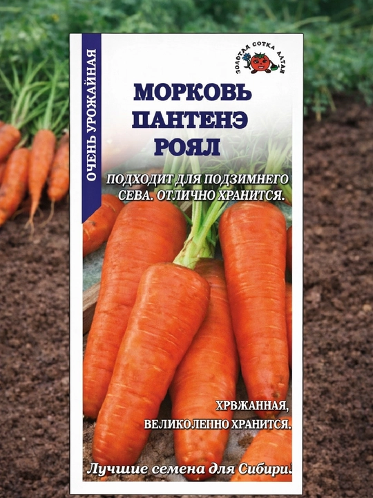Семена морковь Шантенэ Роял Золотая сотка Алтая - 