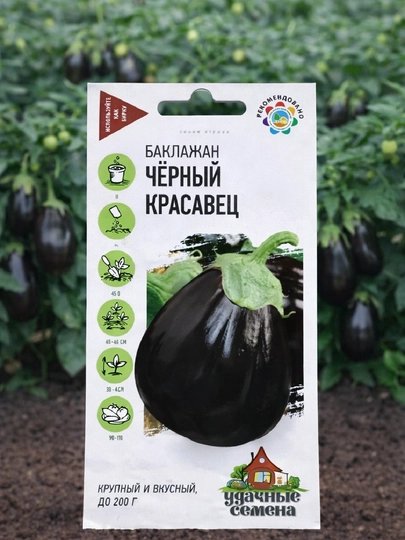 Семена баклажан Черный красавец Удачные семена — SEMENA-КРАСАВЕЦ