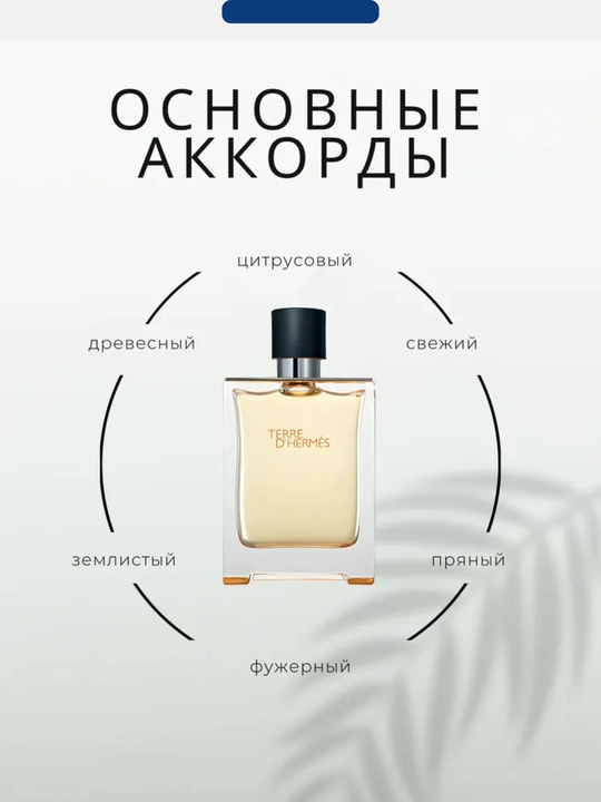 Туалетная вода Hermes Terre D'Hermes 100 мл мужская
