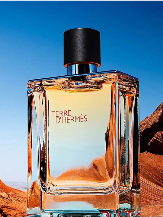 Xushbo'ylangan suv erkaklar Hermes Terre D'Hermes 100 ml - 