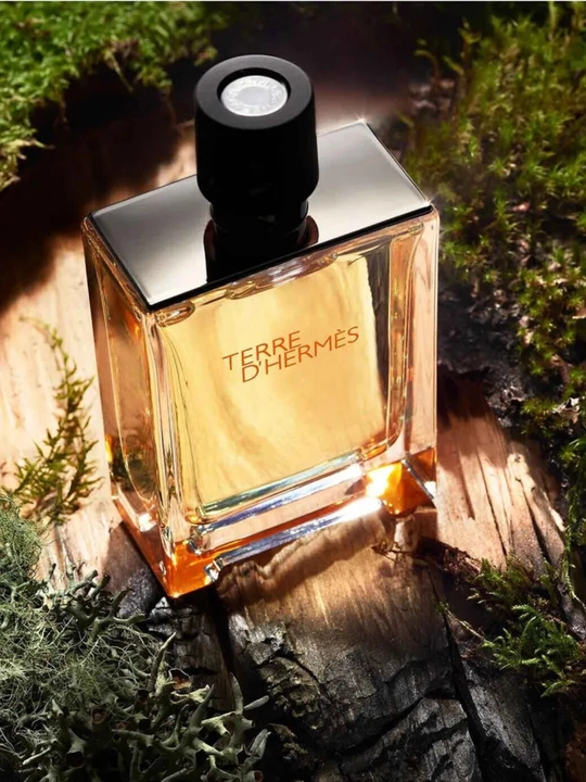 Туалетная вода Hermes Terre D'Hermes 100 мл мужская