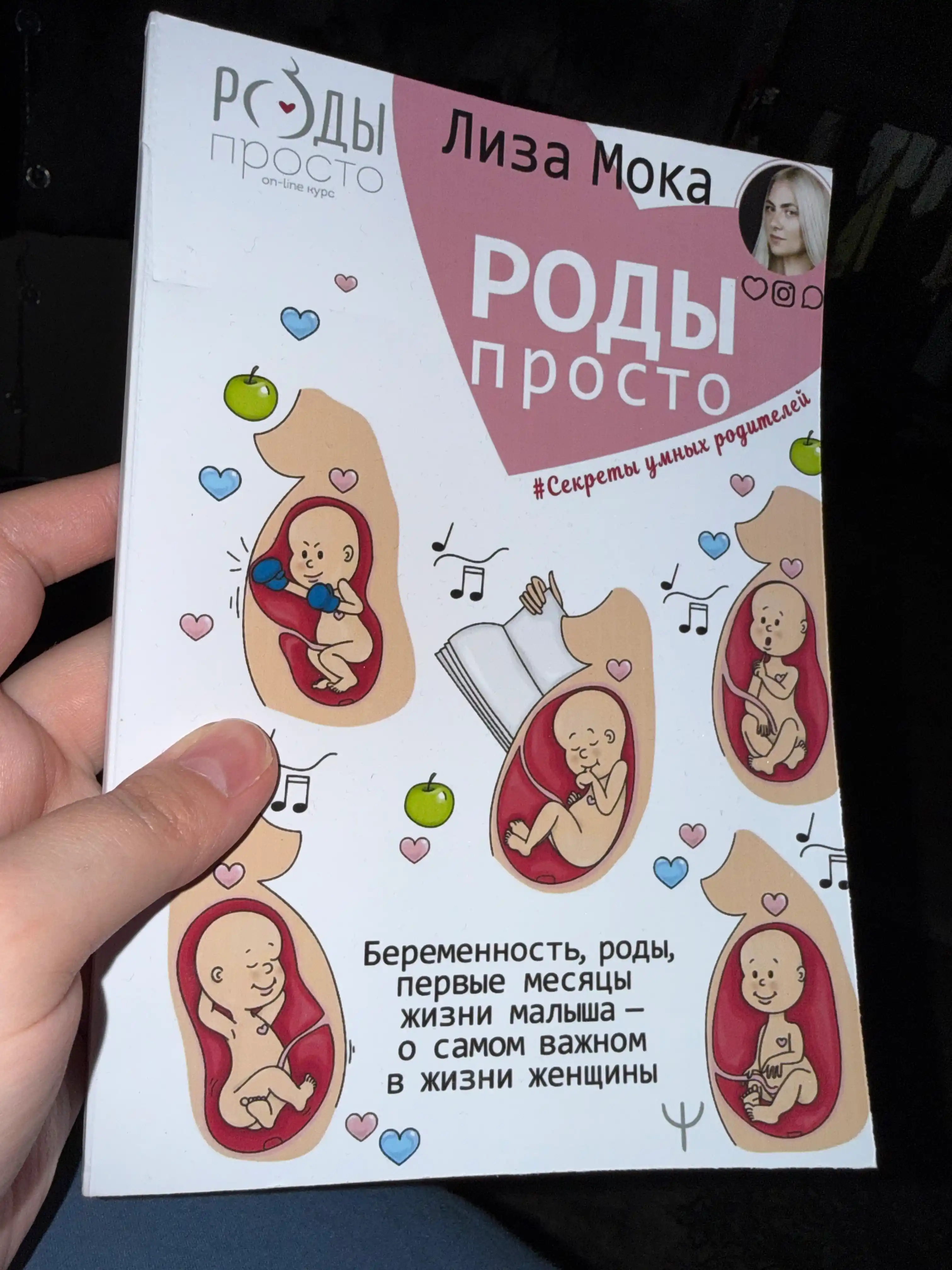 Лиза Мока Роды – просто. Беременность, роды, первые месяцы жизни малыша – о самом важном