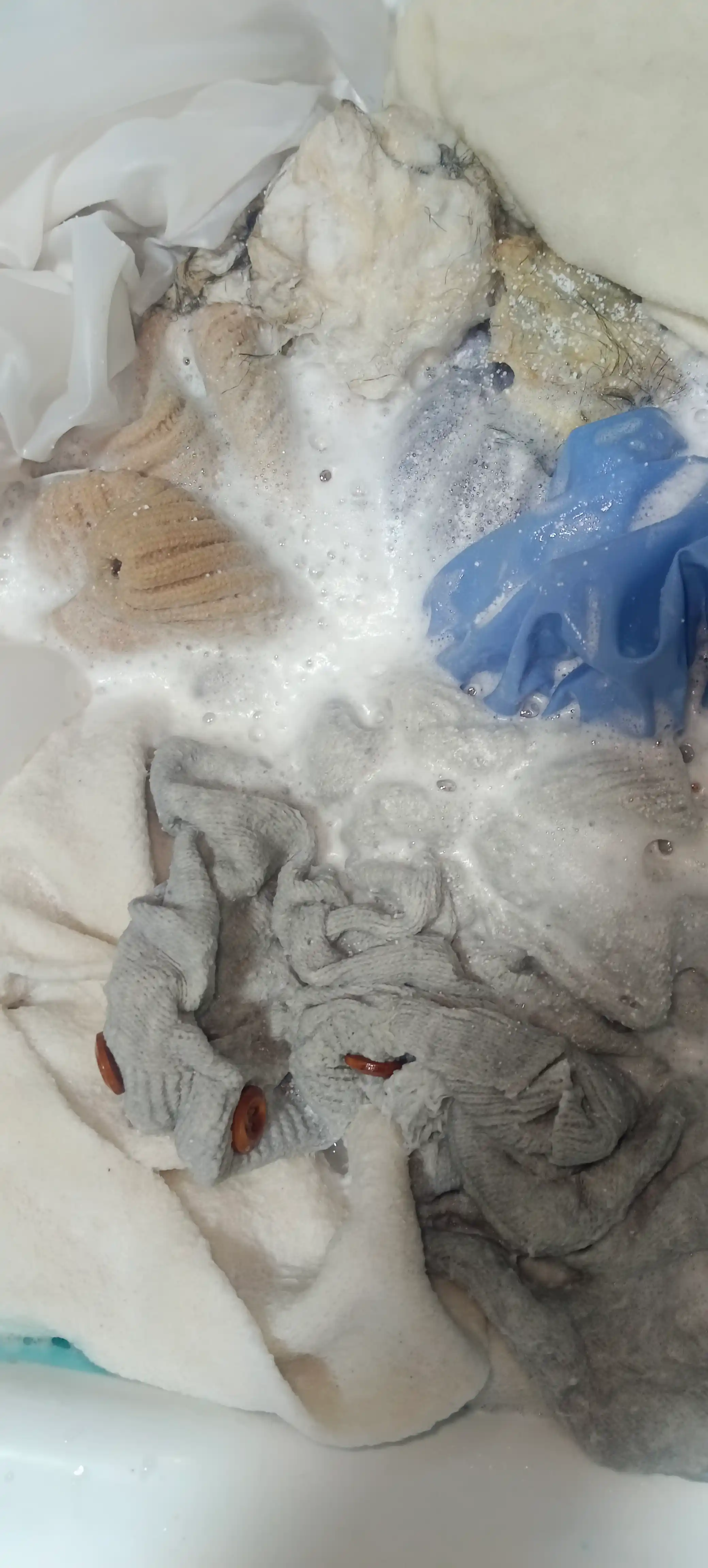 Oila Tanlovi kislorodli tozalash, oqartirish, dog' ketkazish vositasi, 900 g