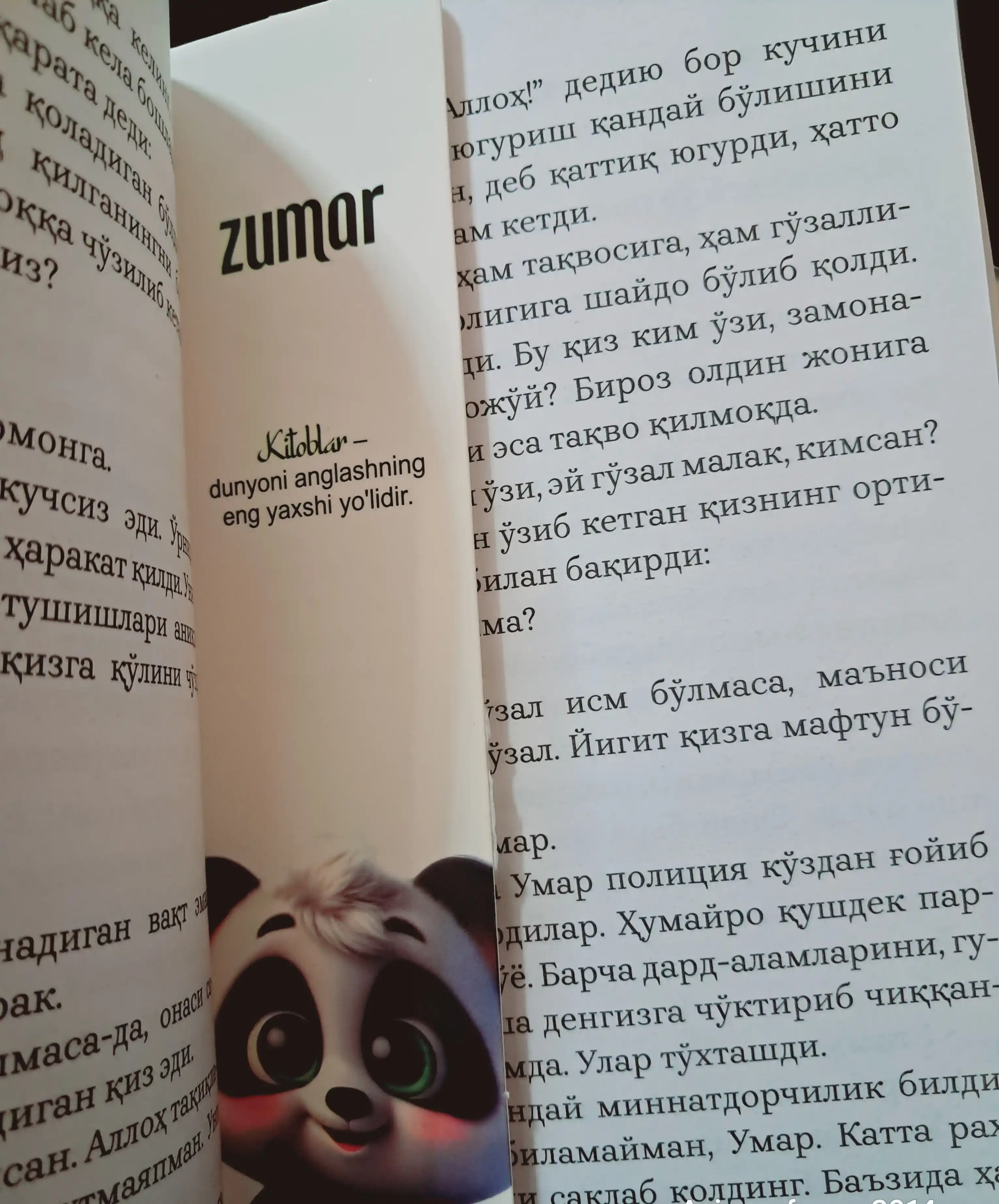 Ҳумайро, Роман, Эйлyл Валий