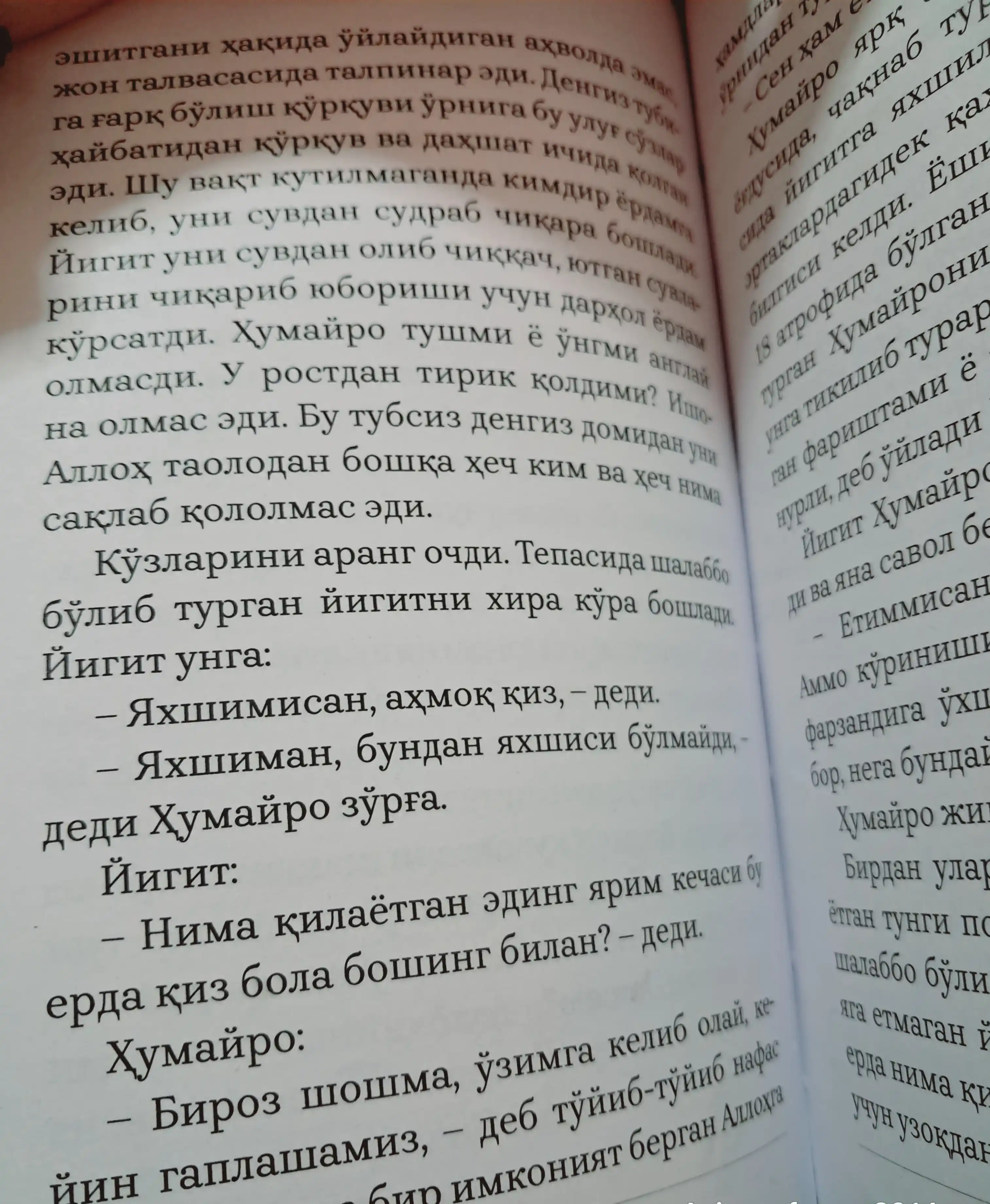 Ҳумайро, Роман, Эйлyл Валий
