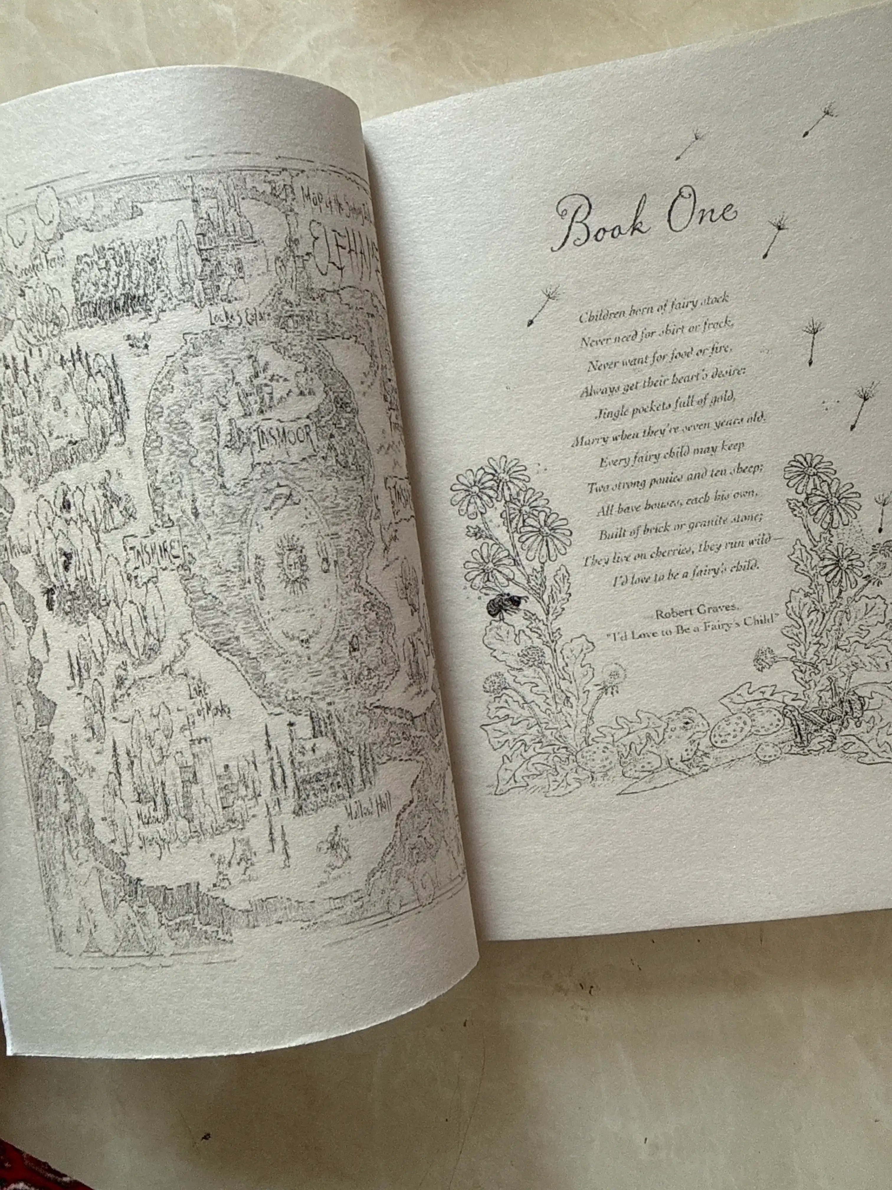 The Cruel Prince HOLLY BLACK ingliz tilida