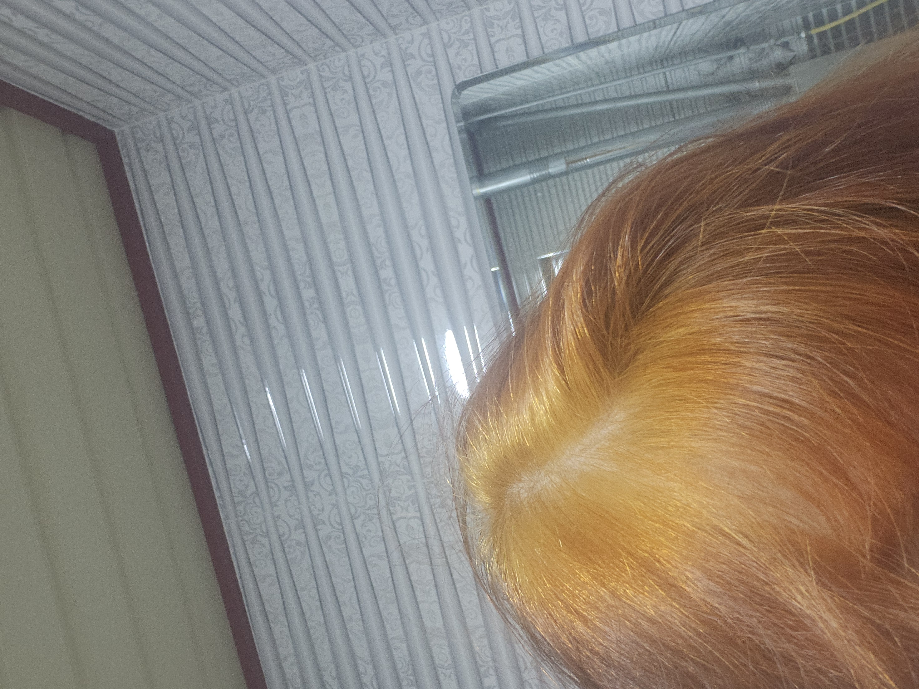 Осветлитель для волос Eclair Ultra Blond