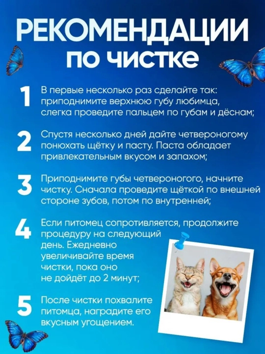 Зубная паста для собак и кошек + щетки