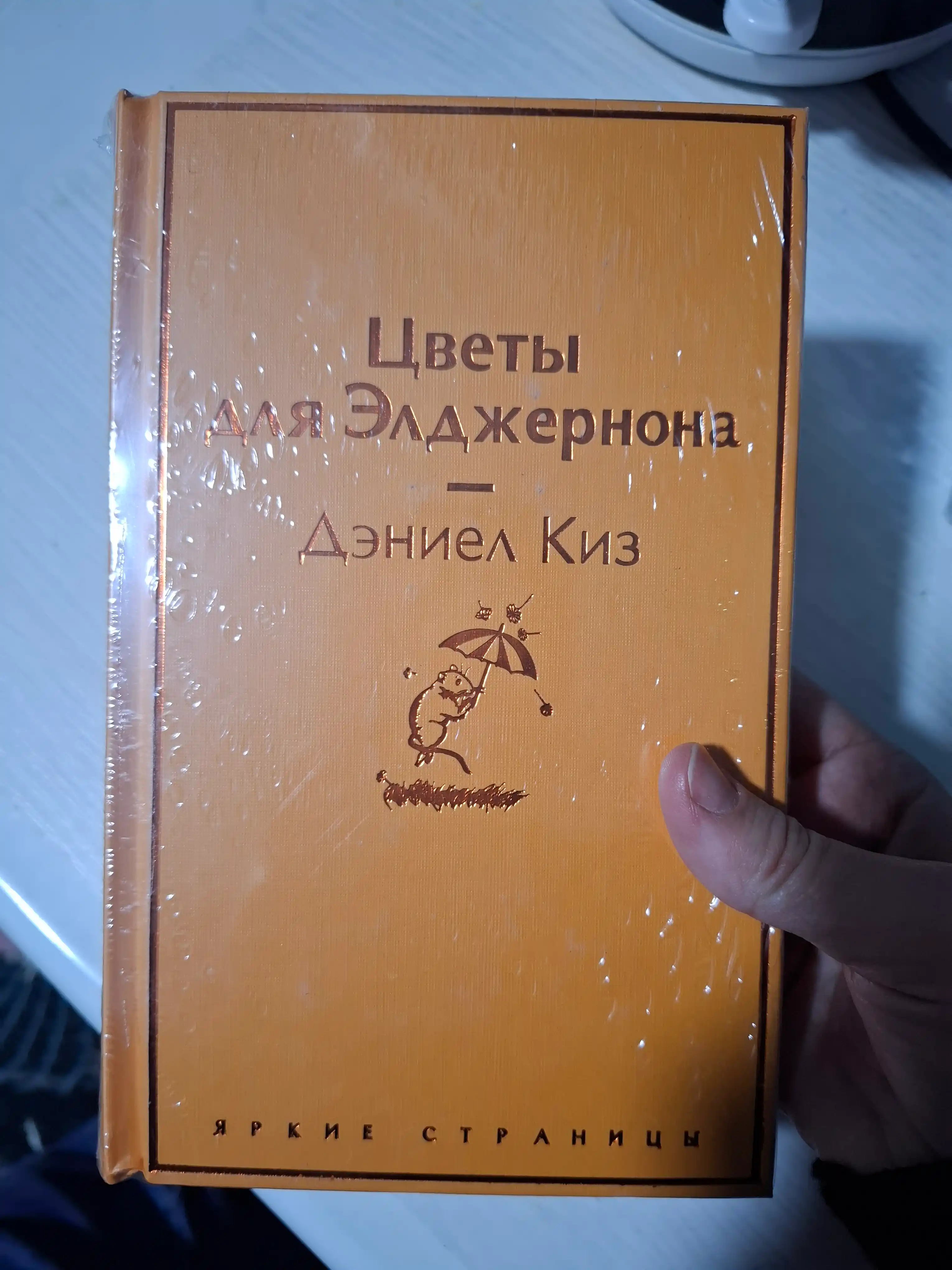 Tsvety dlya Eldzhernona, Deniyel Kiz