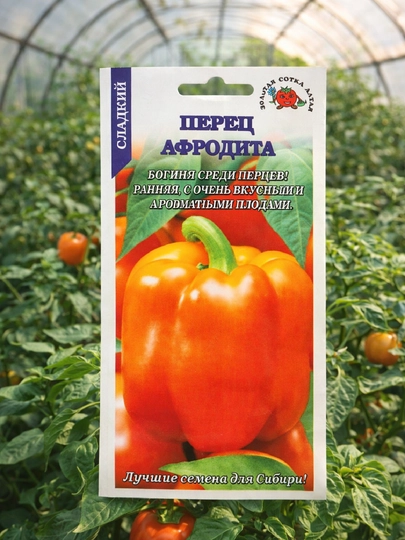 Семена перец Афродита, Золотая сотка Алтая — SEMENA-АФРОДИТА