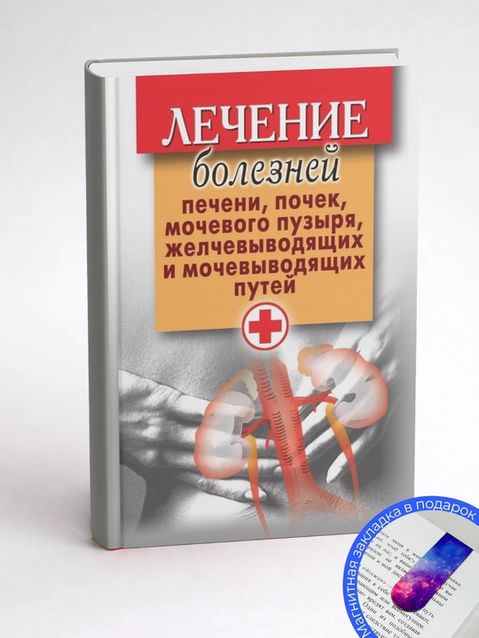 Лечение болезней печени, почек, мочевого пузыря, желчевыводящих и мочевыводящих путей