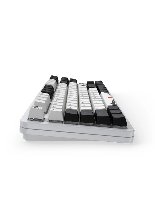 Игровая клавиатура Dark Project One KD87A