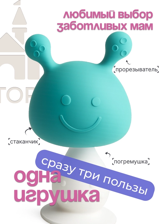 Shiqildoqli tish kemiruvchisi