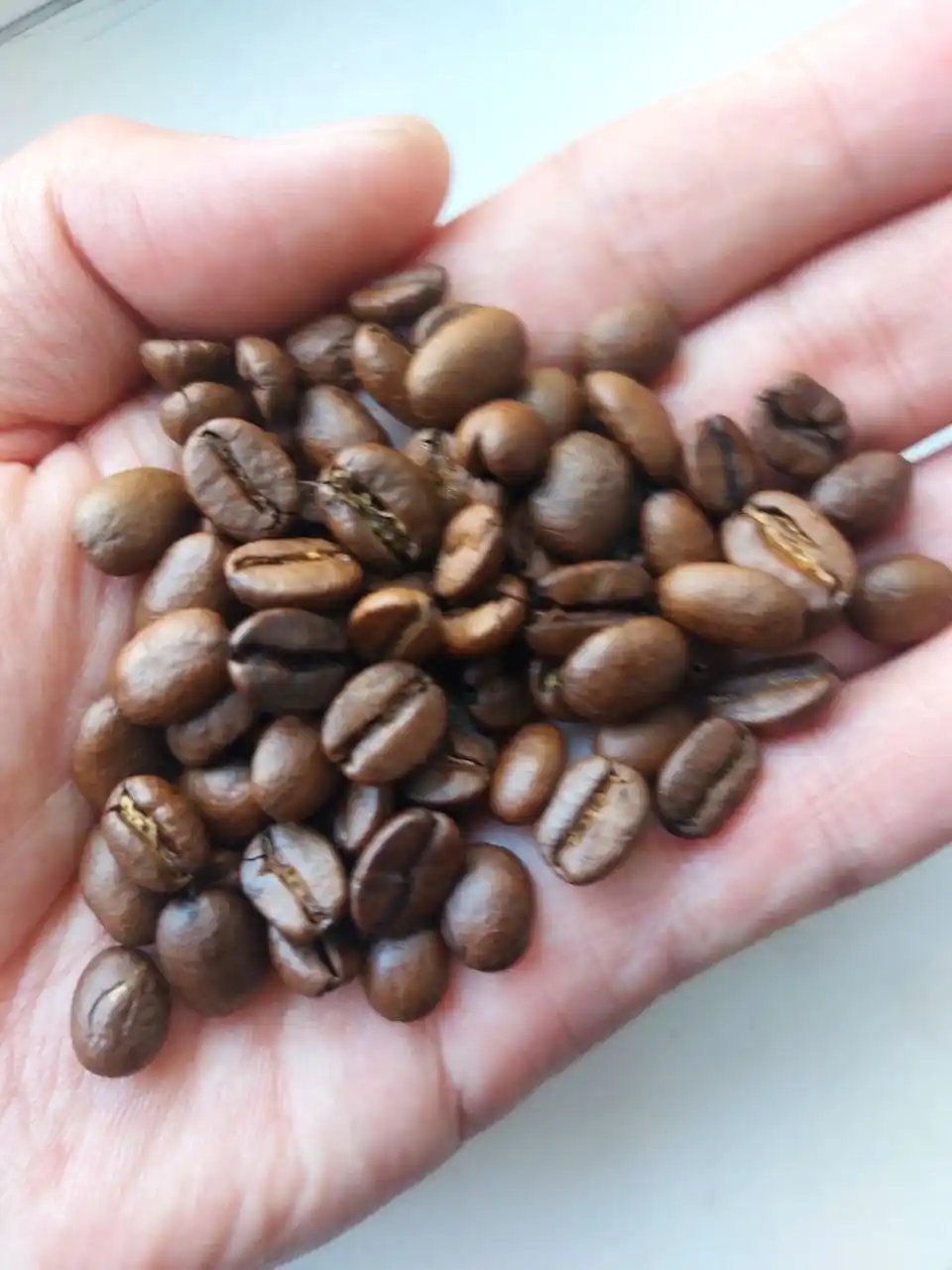 Qahva donlari Moskovskaya kofeynya na payax Arabica, 1 kg