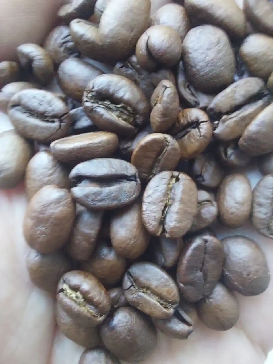 Qahva donlari Moskovskaya kofeynya na payax Arabica, 1 kg