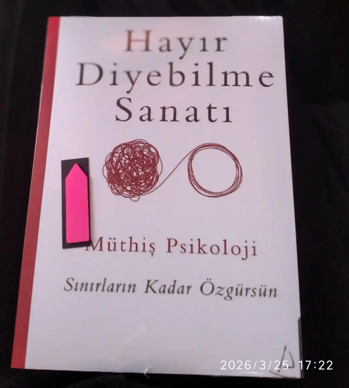 Hayir diyebilme sanati. Muthis Psokoloji (Книга на турецком языке)