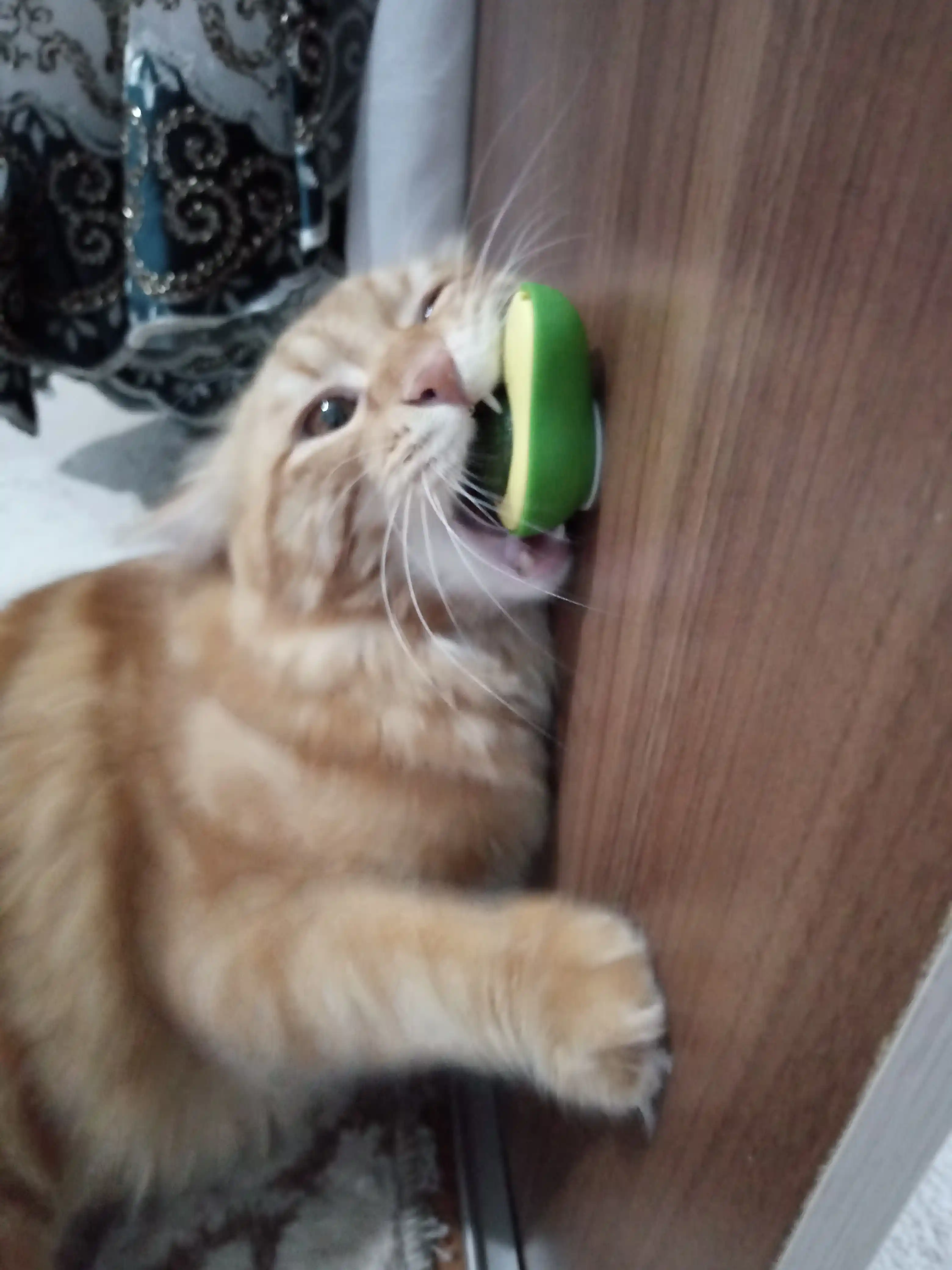 Шарик с кошачьей мятой на липучке, игрушка лизун для кошек