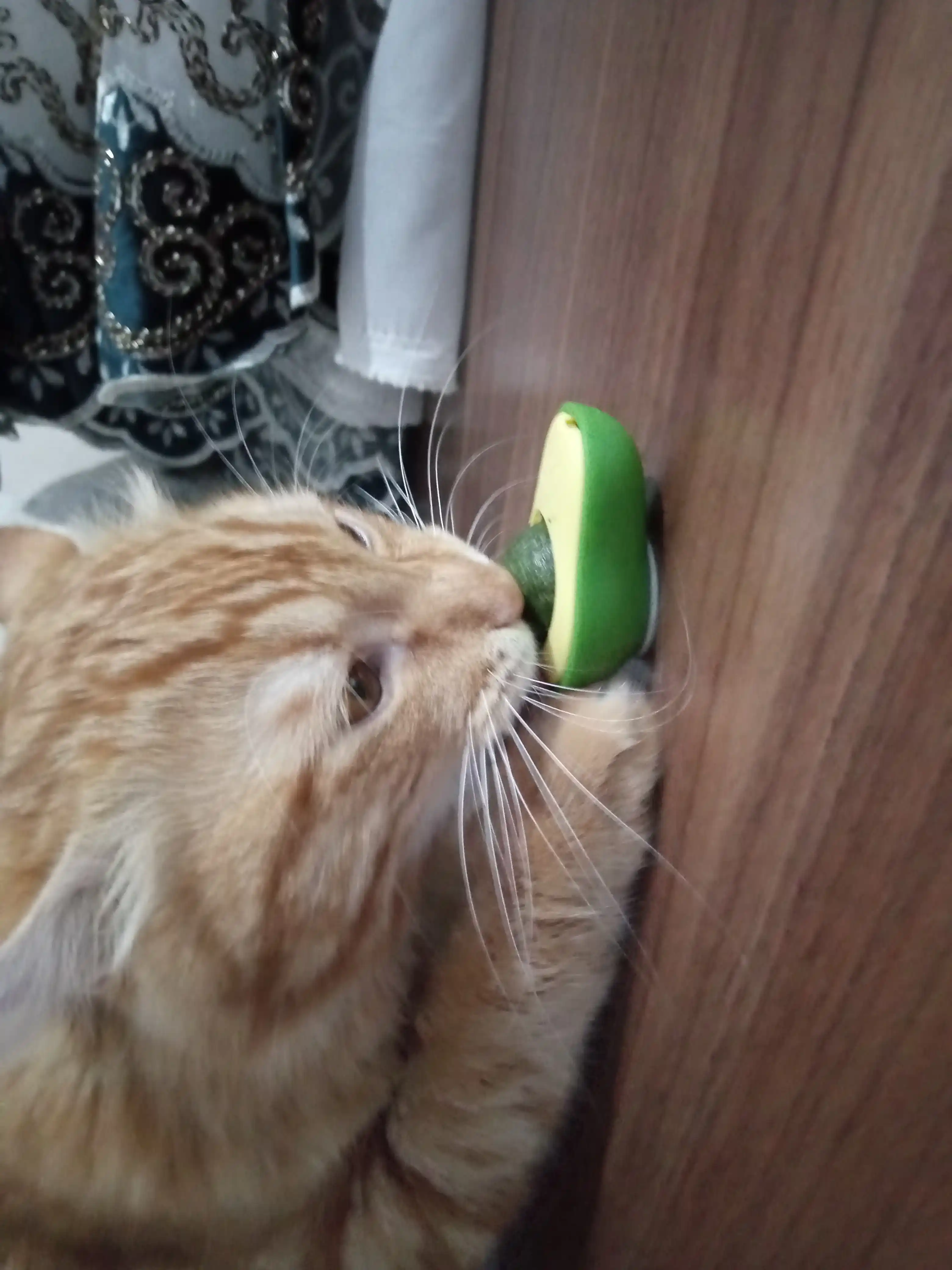 Шарик с кошачьей мятой на липучке, игрушка лизун для кошек