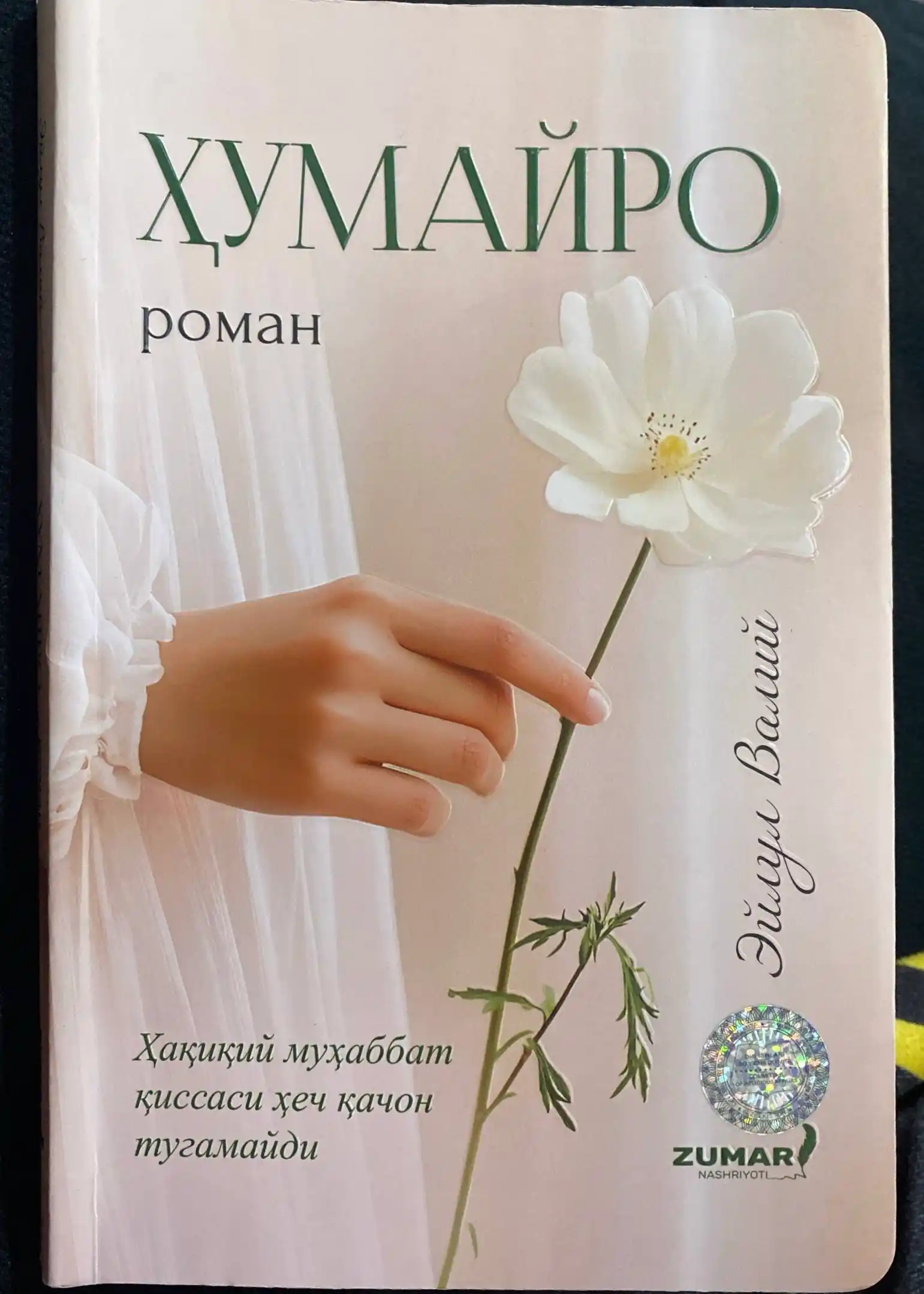 Хумайро роман, Эйлул Валий