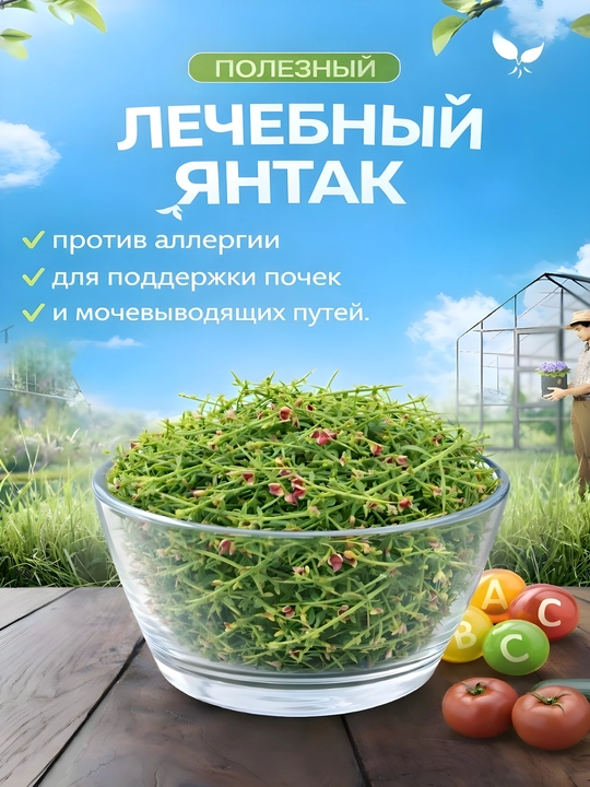 Yantoq guli va shoxlarining quritilgani, 100 gr - 