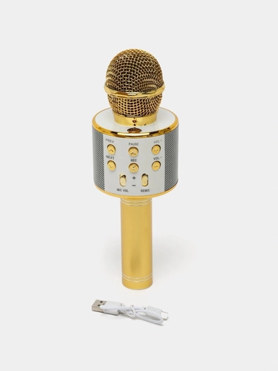 Колонка микрофон WS858