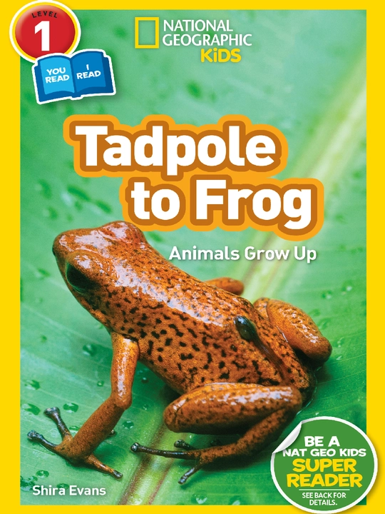 National Geographic Kids Level 1 kitoblari, donalab va to‘plamlar - 