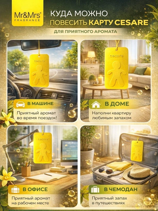 MR & MRS FRAGRANCE CESARE CARD avtomobili uchun aromatik kartochka