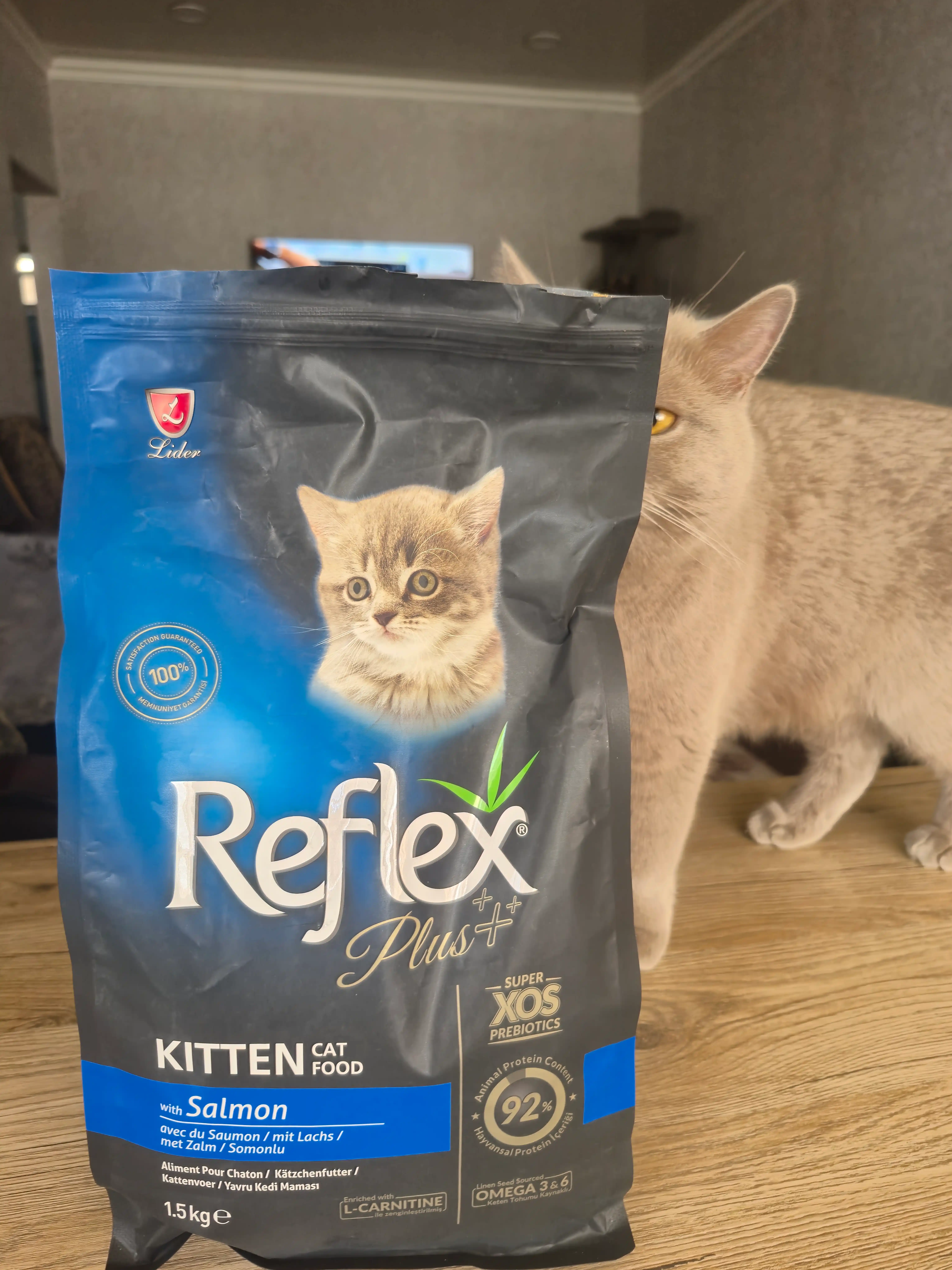 Reflex Plus Kitten Salmon quruq mushukchalarga moljallangan lososli ozuqa, 1.5 kg