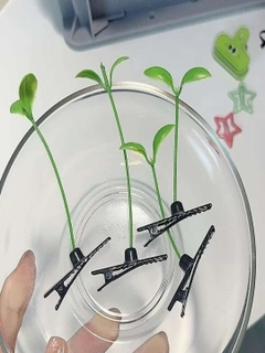 Зеленый