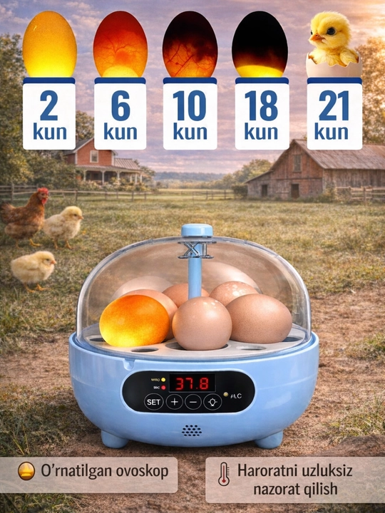 Инкубатор для 6 яиц автоматический, работает от 220В
