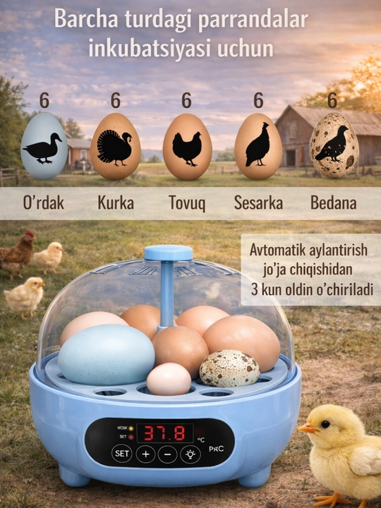Инкубатор для 6 яиц автоматический, работает от 220В