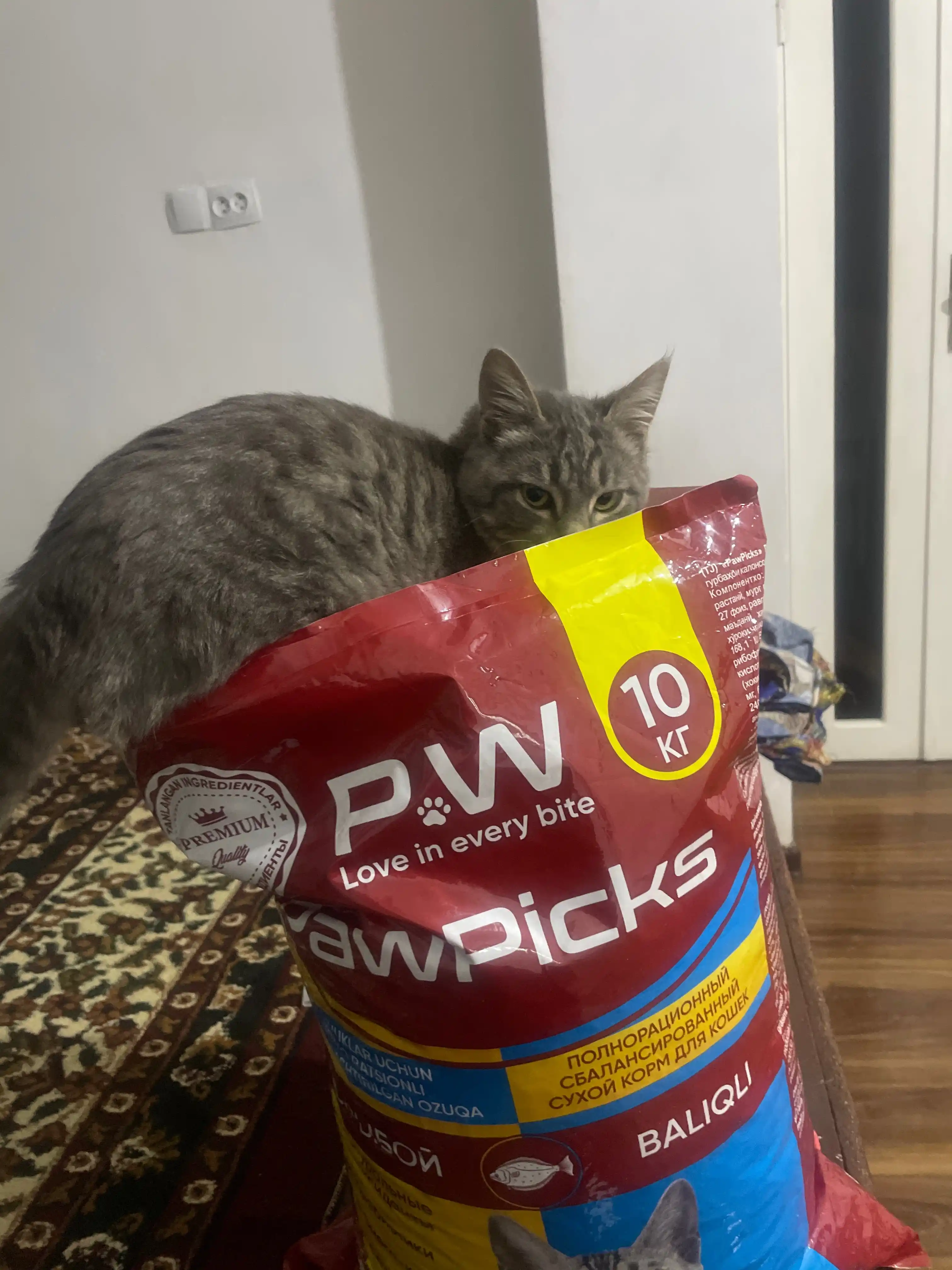 Paw Picks mushuklar uchun quruq yem, baliq bilan 10 kg