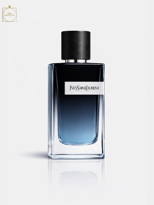 Erkaklar uchun parfyumlangan suv Yves Saint Laurent, 100 ml