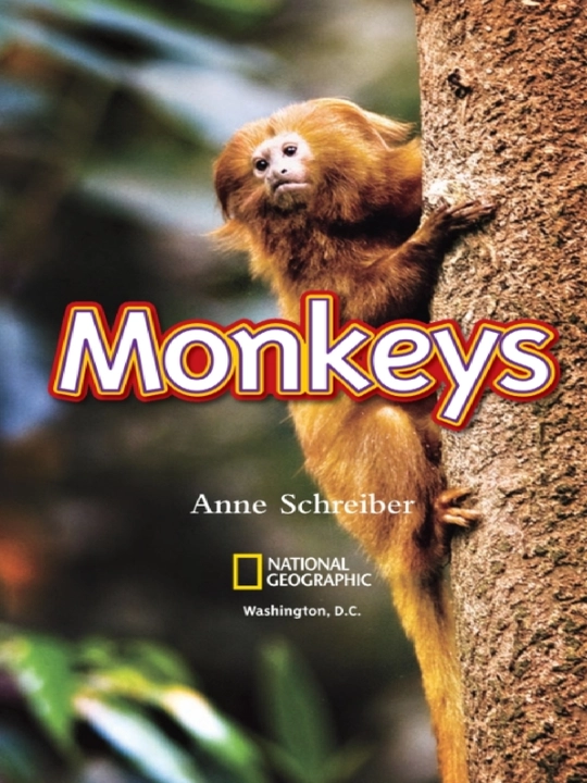 National Geographic Kids Level 2 Independent Reader kitoblari