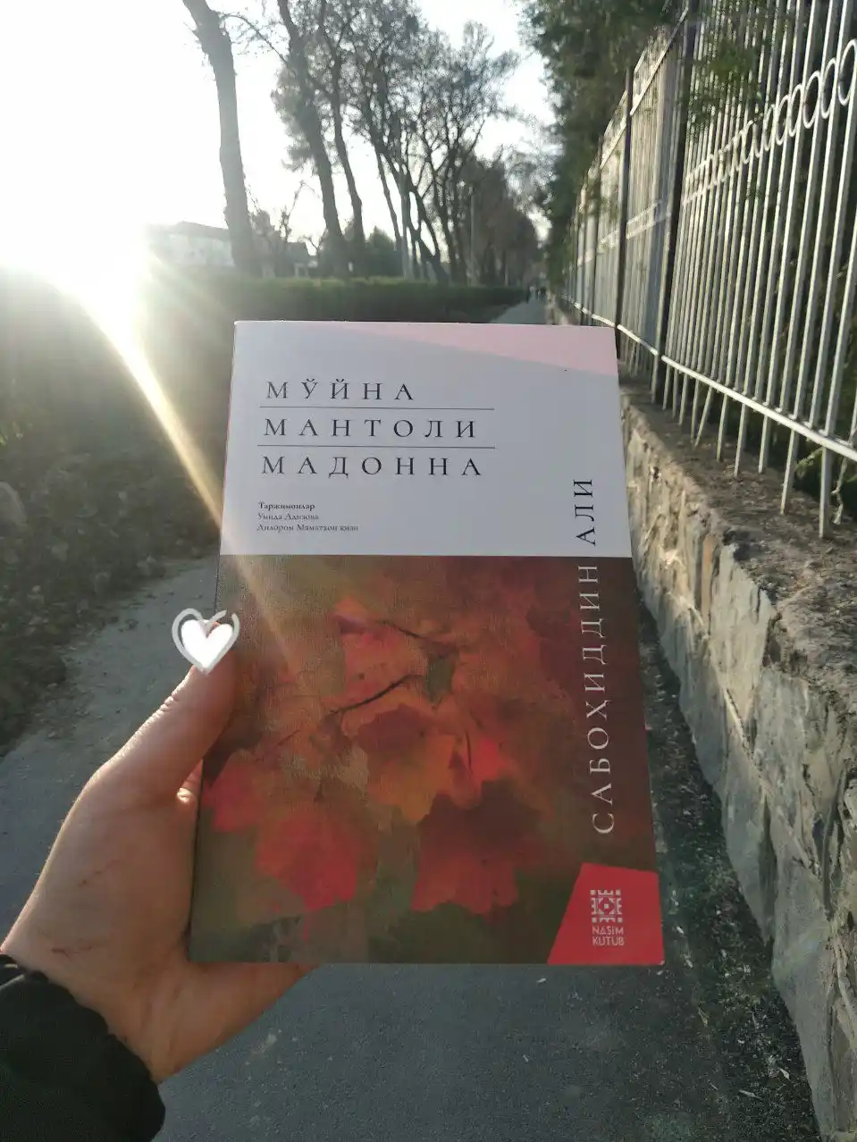 Мўйна мантоли Мадонна, Сабоҳиддин Али