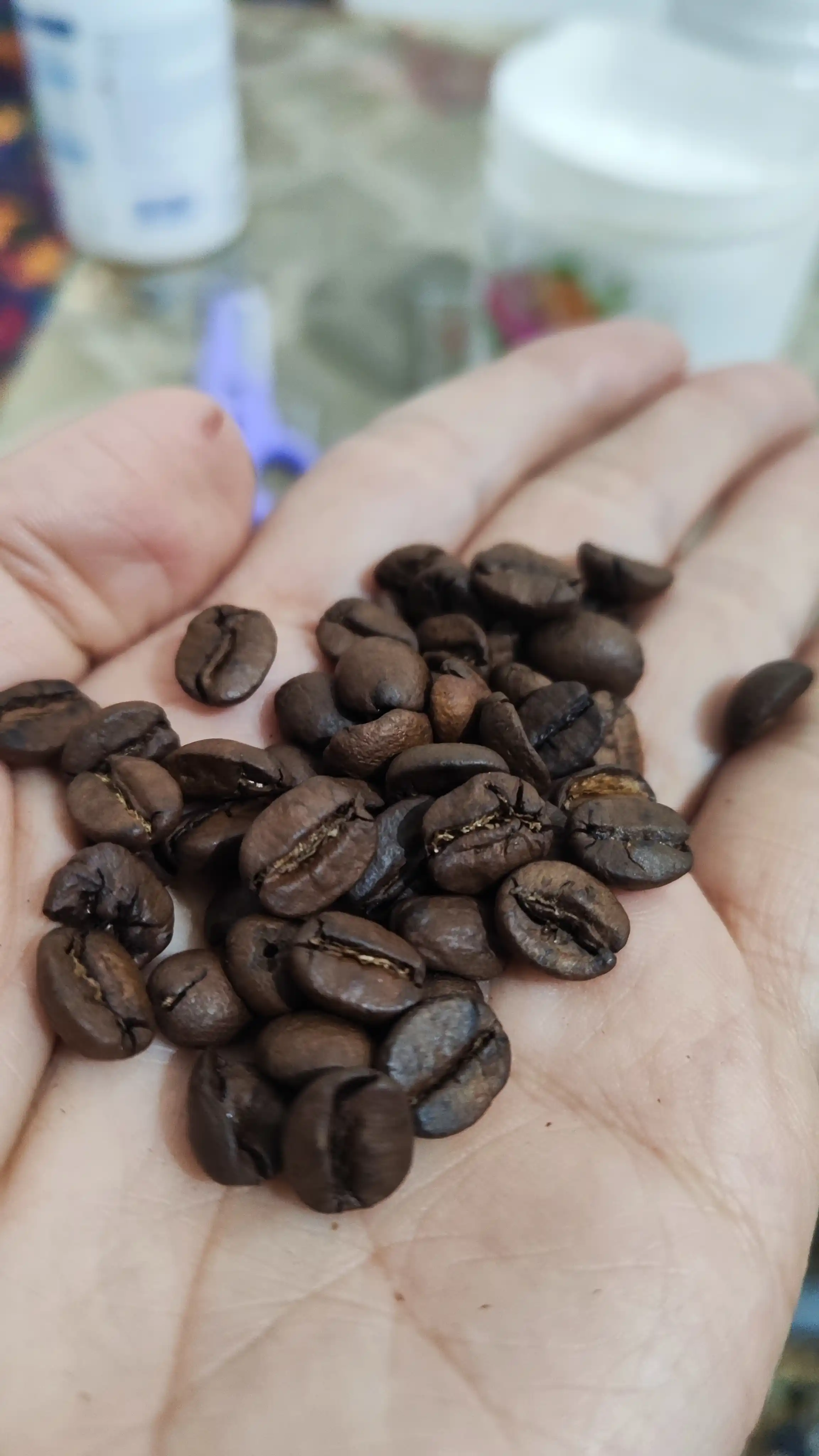 Qahva donalari ProCoffee Blend 1, 1000 gr