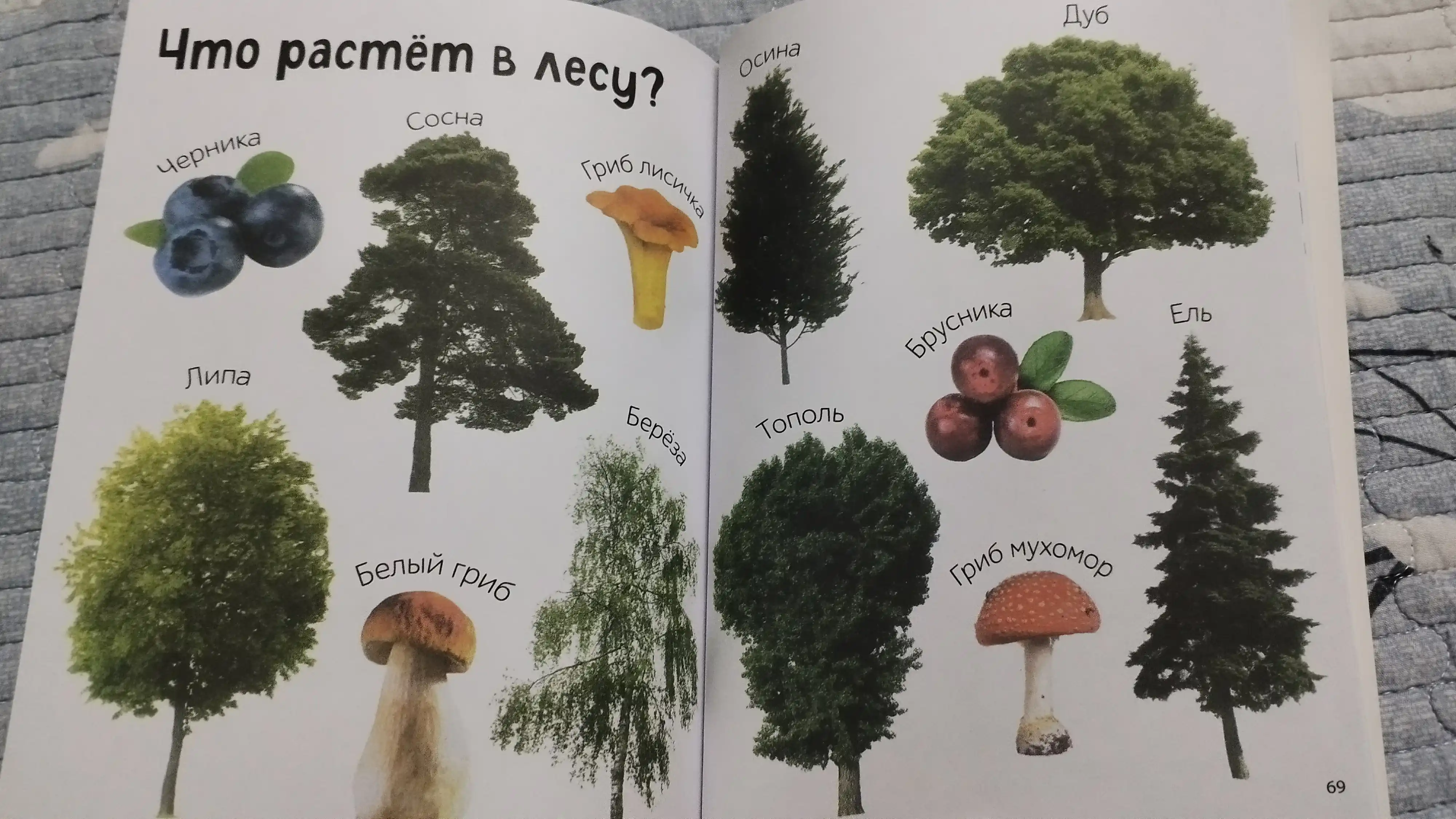 Bolalar uchun rasmali lug'at: Ilk 500 so'z, 80 bet, qattiq muqova, rivojlantiruvchi kitob