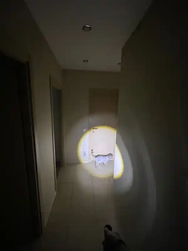 Qo‘l fonar LED, 5 rejim, PowerBank funksiyasi bilan