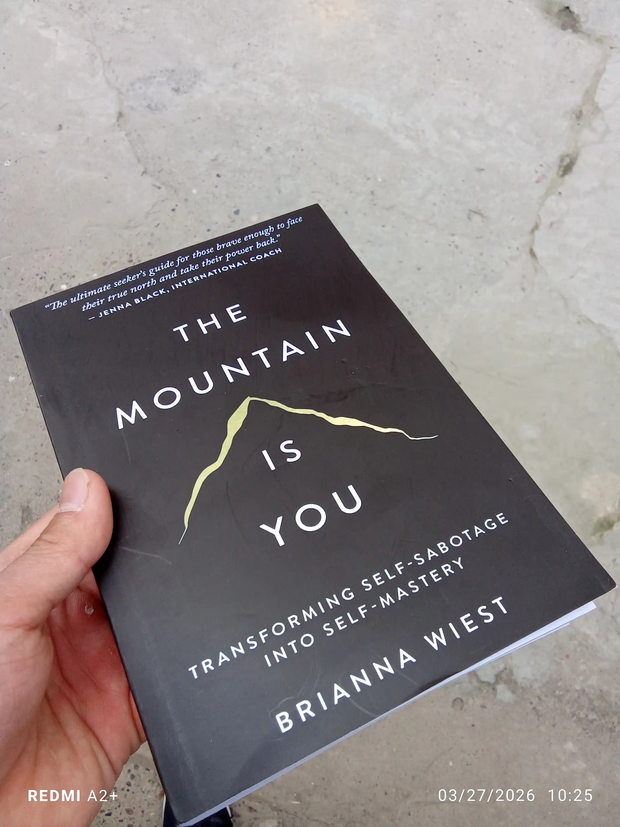 The Mountain Is You Brianna wiest