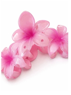 Toʻq pushti